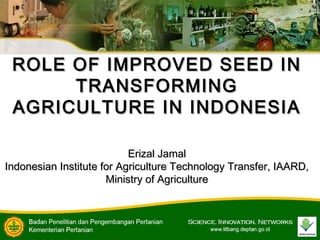 ROLE OF IMPROVED SEED INROLE OF IMPROVED SEED IN
TRANSFORMINGTRANSFORMING
AGRICULTURE IN INDONESIAAGRICULTURE IN INDONESIA
Erizal JamalErizal Jamal
Indonesian Institute for Agriculture Technology Transfer, IAARD,Indonesian Institute for Agriculture Technology Transfer, IAARD,
Ministry of AgricultureMinistry of Agriculture
 