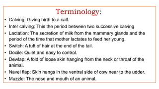 Terminology:
• Calving: Giving birth to a calf.
• Inter calving: This the period between two successive calving.
• Lactation: The secretion of milk from the mammary glands and the
period of the time that mother lactates to feed her young.
• Switch: A tuft of hair at the end of the tail.
• Docile: Quiet and easy to control.
• Dewlap: A fold of loose skin hanging from the neck or throat of the
animal.
• Navel flap: Skin hangs in the ventral side of cow near to the udder.
• Muzzle: The nose and mouth of an animal.
 
