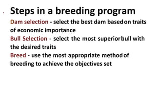 • Steps in a breeding program
Dam selection - select the best dam basedon traits
of economic importance
Bull Selection - select the most superiorbull with
the desired traits
Breed - use the most appropriate methodof
breeding to achieve the objectives set
 