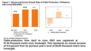 60.99 61.54
46.00
32.6
0.9
-29.5
Figure 1. Volume and Annual Growth Rate of Cattle Production, Philippines
April-June 2020-2022p
2020 2021 2022
2020 2021 2022
Volume of Production
(in thousand mt, liveweight)
p - preliminary
Growth Rate (in percent)
Source: Philippine Statistics Authority
Cattle production from April to June 2022 was registered at
61.54 thousand metric tons, liveweight. This represents an annual increase
of 0.9 percent from its previous year’s level of 60.99 thousand metric tons,
liveweight.
 