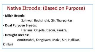 Native Breeds: (Based on Purpose)
• Milch Breeds:
Sahiwal, Red sindhi, Gir, Tharparkar
• Dual Purpose Breeds:
Hariana, Ongole, Deoni, Kankrej
• Draught Breeds:
Amritmahal, Kangayam, Malvi, Siri, Hallikar,
Khillari
 