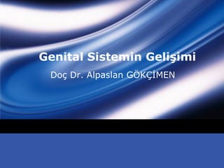 Genital Sistemin Gelişimi
 Doç Dr. Alpaslan GÖKÇİMEN




           LOGO
 