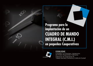 Programa para la
implantación de un
CUADRO DE MANDO
INTEGRAL (C.M.I.)
en pequeñas Cooperativas
 