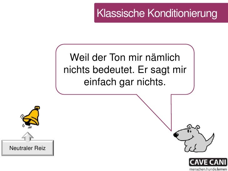 Erklärhund in Aktion: klassische Konditionierung