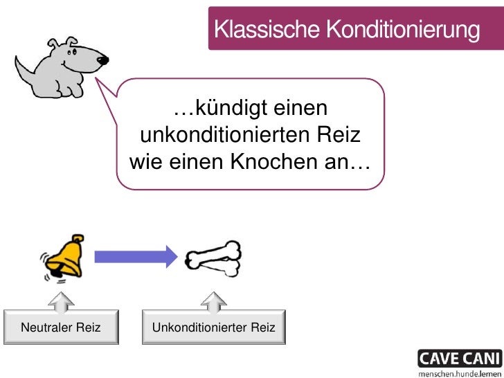 Erklarhund In Aktion Klassische Konditionierung