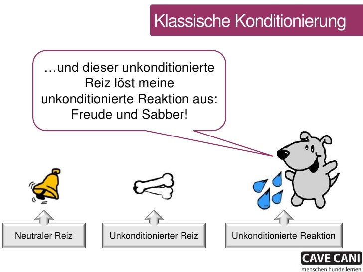 Erklärhund in Aktion: klassische Konditionierung