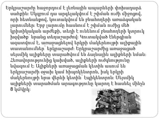 Երկրաշարժը հաջորդում է լեռնային ապարների փոխադարձ
սահքին։ Սկզբում դա արգելակվում է շփման ուժի միջոցով,
որի հետևանքով, կուտակվում են բնահողերի առաձգական
լարումներ։ Երբ լարումը հասնում է շփման ուժից մեծ
կրիտիկական արժեքի, տեղի է ունենում բնահողերի կտրուկ
խզվածք՝ նրանց տեղաշարժով։ Կուտակված էներգիան
ազատվում է, առաջացնելով երկրի մակերևույթի ալիքային
տատանումներ՝ երկրաշարժ։ Երկրաշարժից առաջացած
սեյսմիկ ալիքները տարածվում են ձայնային ալիքների նման։
Հեռավորությունից կախված, ալիքների ուժգնությունը
նվազում է։ Ալիքների առաջացման կետին ասում են
երկրաշարժի օջախ կամ հիպոկենտրոն, իսկ երկրի
մակերևույթի նրա վերևի կետին՝ էպիկենտրոն։ Սեյսմիկ
ալիքների տարածման արագությունը կարող է հասնել մինչև
8 կմ/վրկ։
 