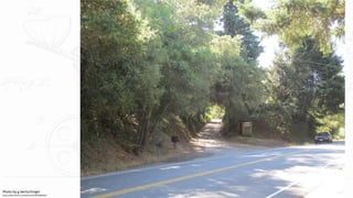 Photo by g.bertschinger
https://www.flickr.com/photos/22028236@N02/
 