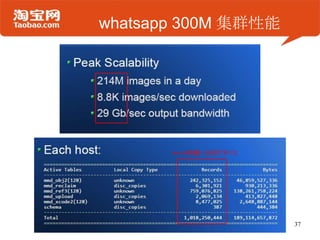 whatsapp 300M 集群性能
37
 