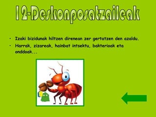 Izaki bizidunak hiltzen direnean zer gertatzen den azaldu. Harrak, zizareak, hainbat intsektu, bakterioak eta onddoak... 12-Deskonposatzaileak 