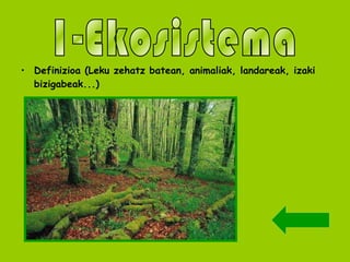 Definizioa (Leku zehatz batean, animaliak, landareak, izaki bizigabeak...) 1-Ekosistema 