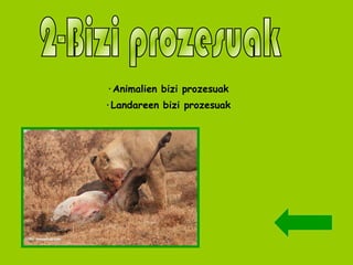 ·Animalien bizi prozesuak ·Landareen bizi prozesuak 2-Bizi prozesuak 