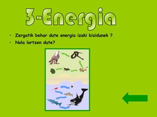 Zergatik behar dute energia izaki bizidunek ? Nola lortzen dute? 3-Energia 