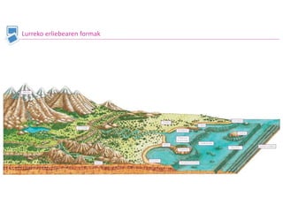 Lurreko erliebearen formak
 