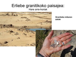 Erliebe granitikoko paisajea: Hare arre-horiak Granitoko mikaren zatiak 
