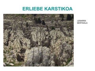 ERLIEBE KARSTIKOA LENARRA BERTIKALA 