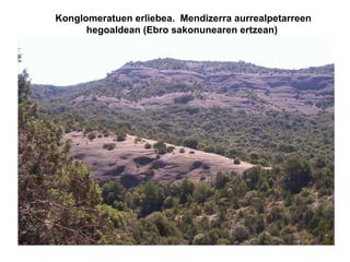 Konglomeratuen erliebea.  Mendizerra aurrealpetarreen hegoaldean (Ebro sakonunearen ertzean)  