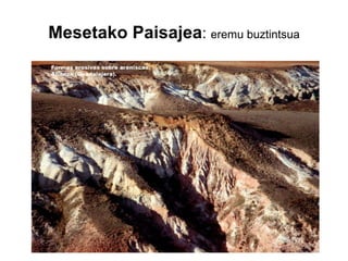 Mesetako Paisajea :  eremu buztintsua 