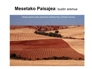 Mesetako Paisajea :  buztin   eremua 
