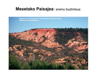 Mesetako Paisajea :  eremu buztintsua 