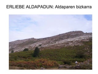 ERLIEBE ALDAPADUN: Aldaparen bizkarra 