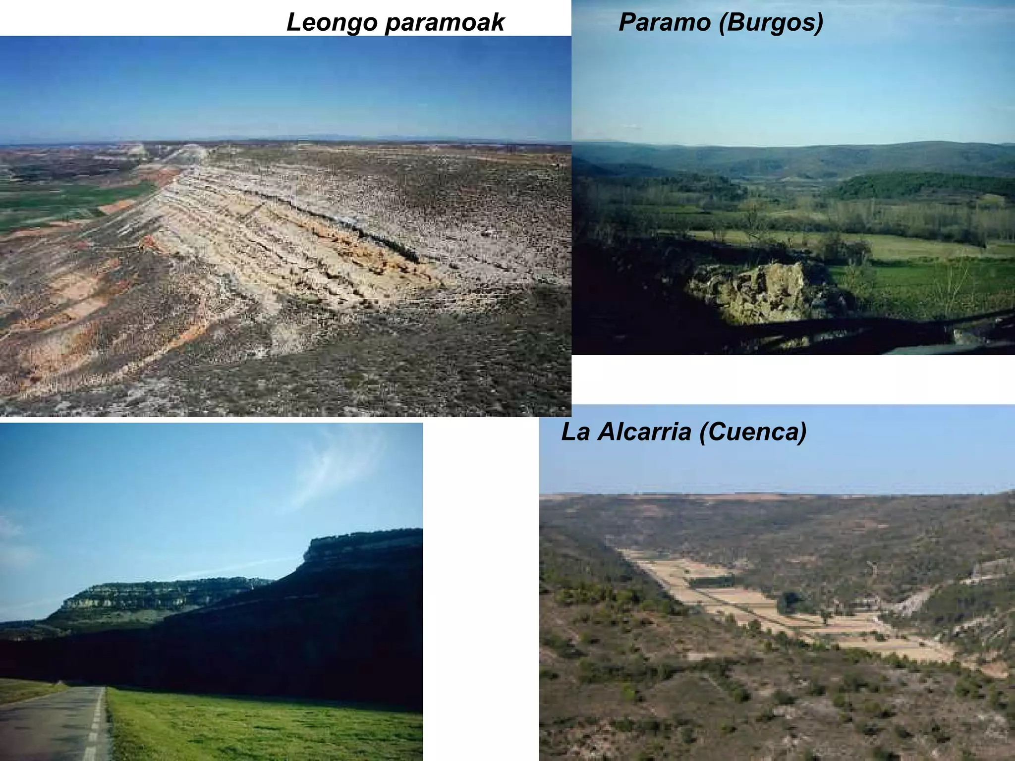 Leongo paramoak  Paramo (Burgos) La Alcarria (Cuenca) 