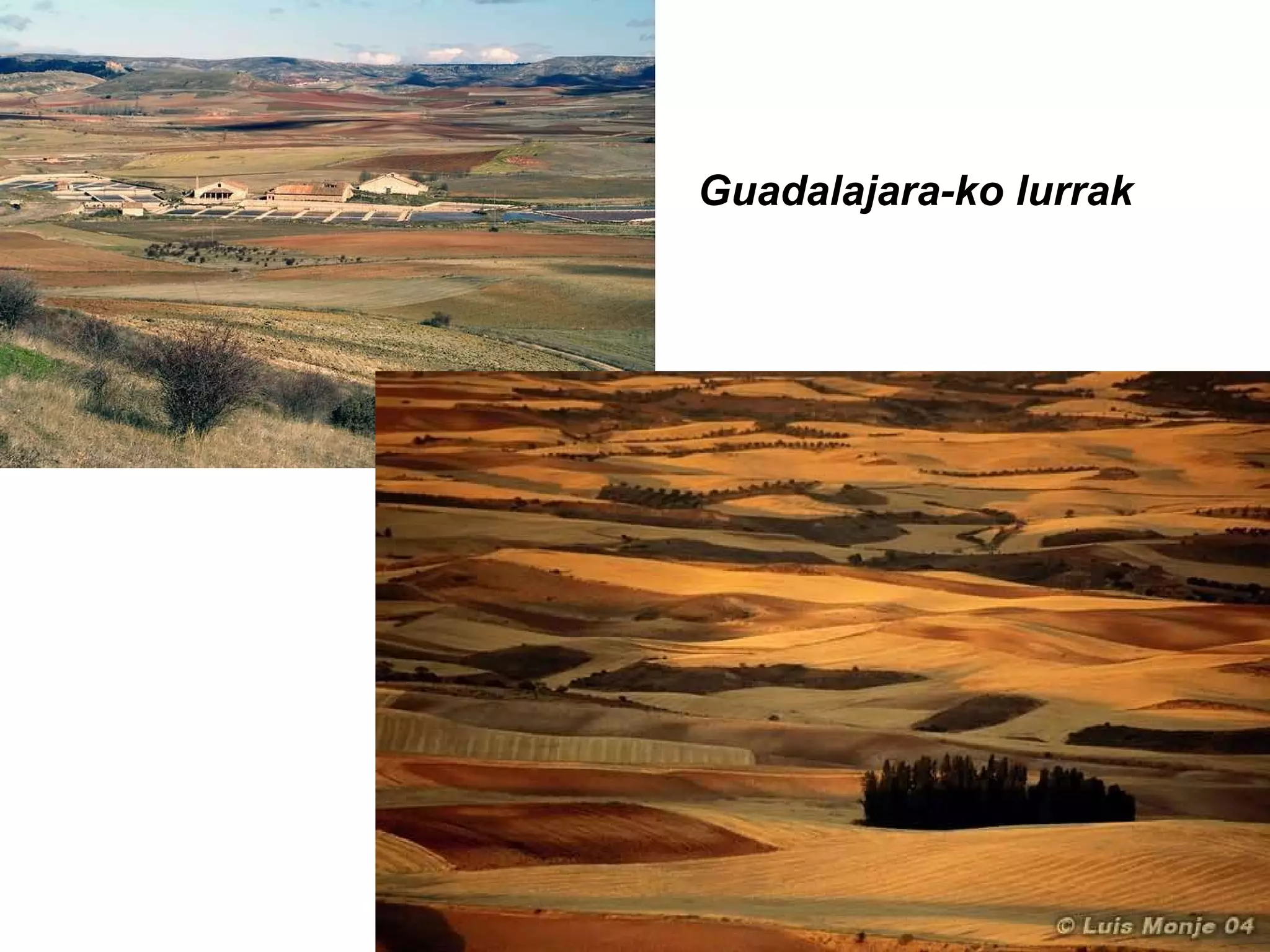 Guadalajara-ko lurrak 