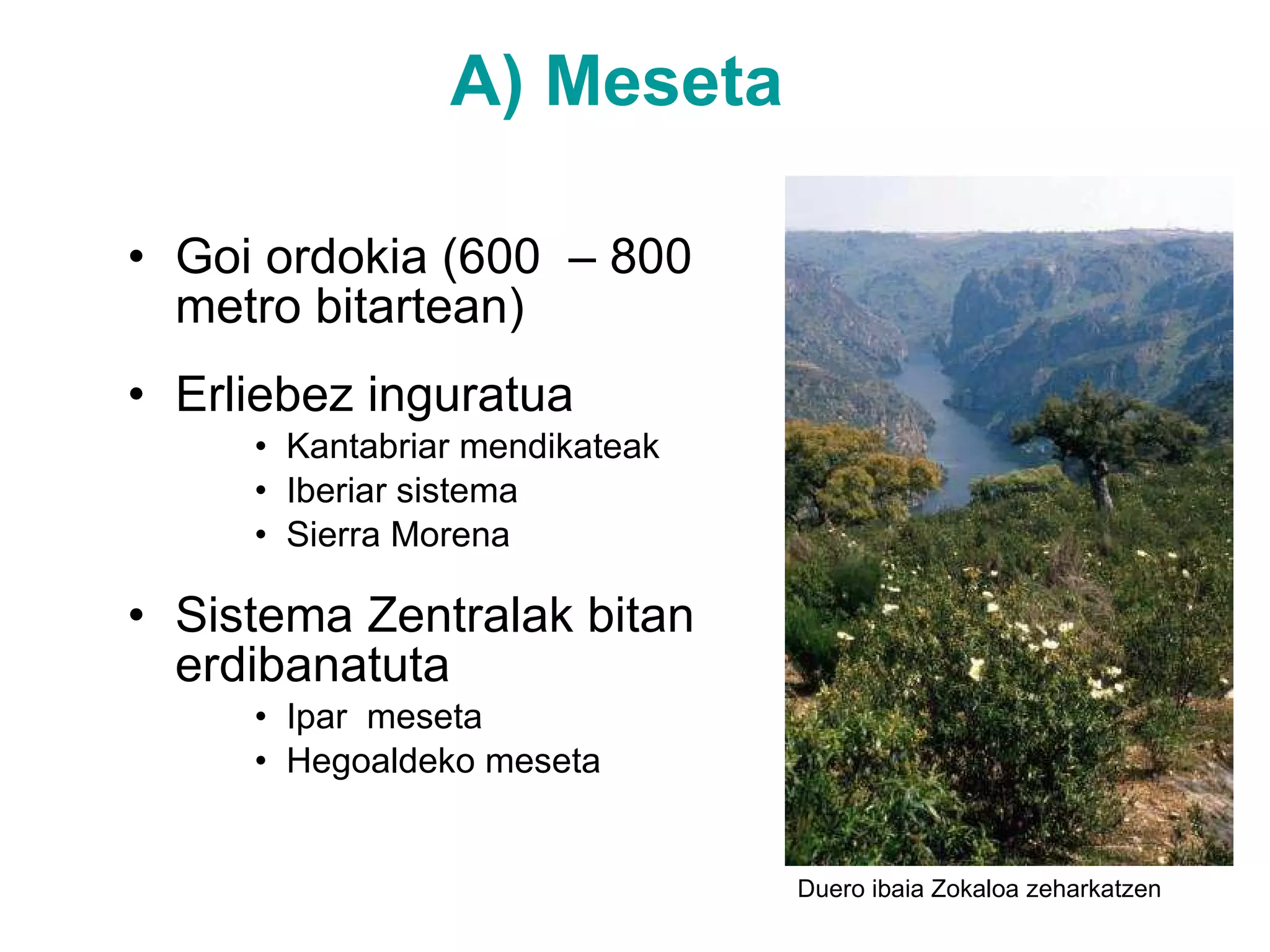 A) Meseta Goi ordokia (600  – 800 metro bitartean) Erliebez inguratua Kantabriar mendikateak Iberiar sistema Sierra Morena Sistema Zentralak bitan erdibanatuta Ipar  meseta Hegoaldeko meseta Duero ibaia Zokaloa zeharkatzen 