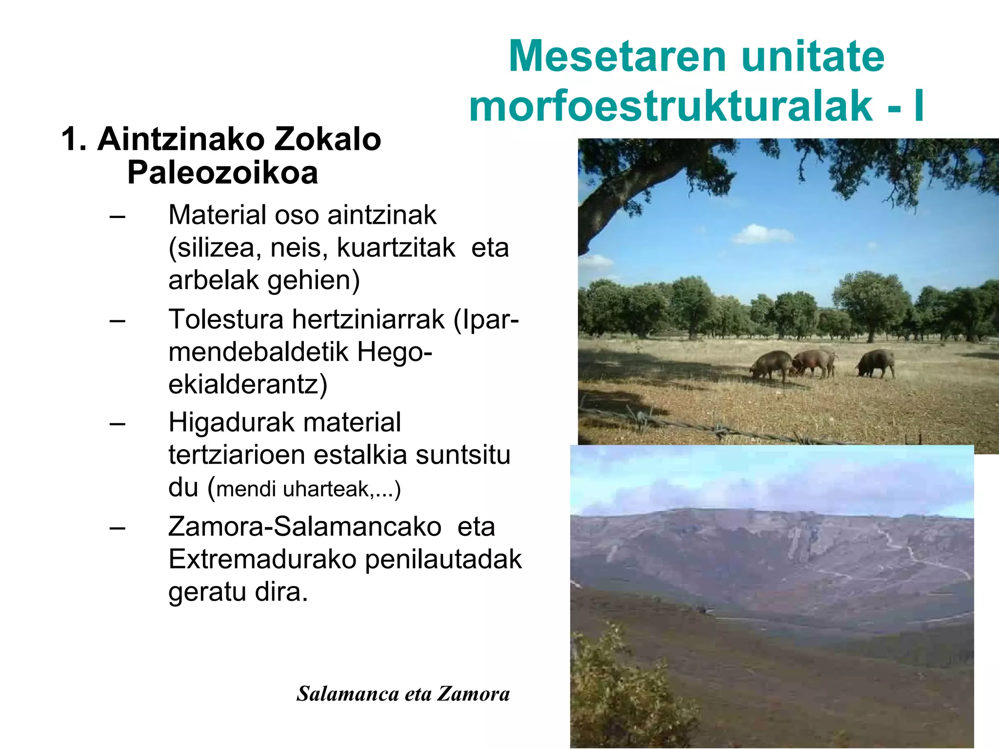 Mesetaren unitate morfoestrukturalak - I 1. Aintzinako Zokalo Paleozoikoa Material oso aintzinak (silizea, neis, kuartzitak  eta arbelak gehien)  Tolestura hertziniarrak (Ipar-mendebaldetik Hego-ekialderantz) Higadurak material tertziarioen estalkia suntsitu du ( mendi uharteak,...) Zamora-Salamancako  eta Extremadurako penilautadak geratu dira. Salamanca eta Zamora  
