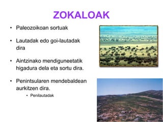 ZOKALOAK Paleozoikoan sortuak Lautadak edo goi-lautadak dira Aintzinako mendiguneetatik higadura dela eta sortu dira. Penintsularen mendebaldean aurkitzen dira.  Penilautadak 
