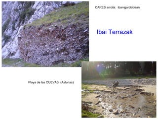 CARES arroila:  ibai-igarobidean  Playa de las CUEVAS  (Asturias) Ibai Terrazak 