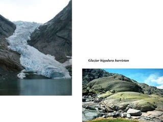 Glaziar higadura harrietan 