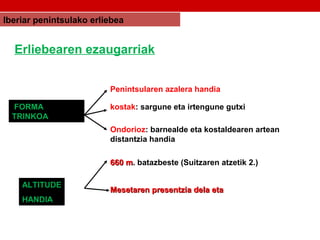 Iberiar penintsulako erliebea
Erliebearen ezaugarriak
FORMA
TRINKOA
Penintsularen azalera handia
kostak: sargune eta irtengune gutxi
Ondorioz: barnealde eta kostaldearen artean
distantzia handia
ALTITUDE
HANDIA
660 m660 m. batazbeste (Suitzaren atzetik 2.)
Mesetaren presentzia dela etaMesetaren presentzia dela eta
 
