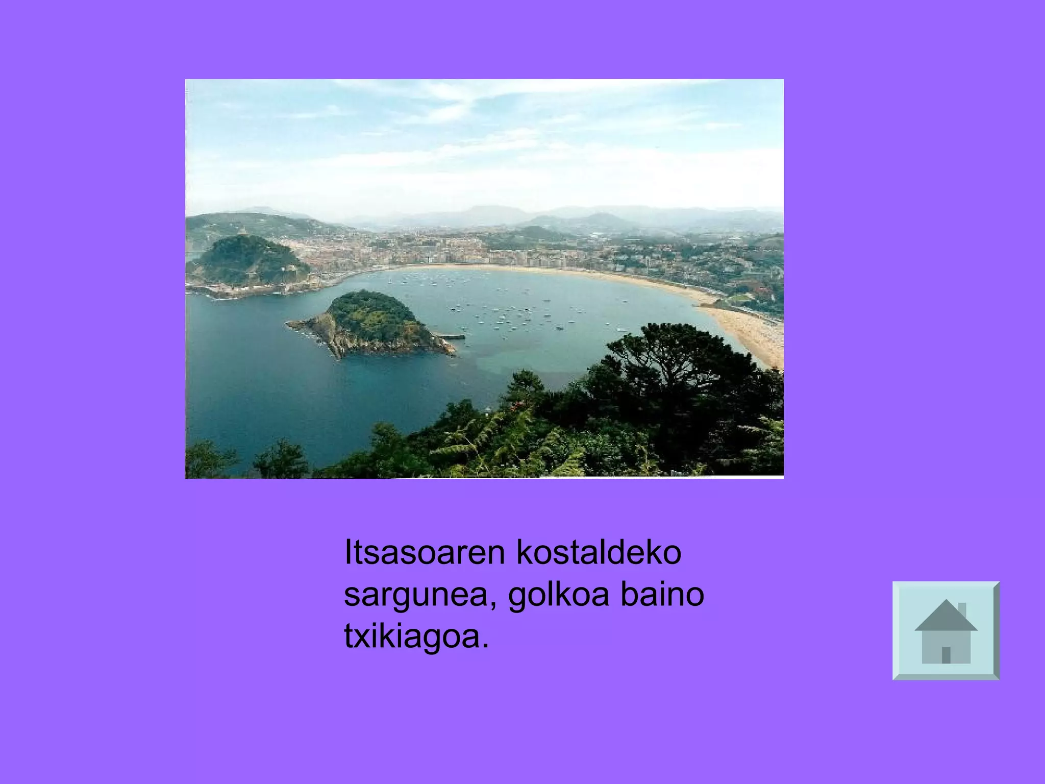 Itsasoaren kostaldeko
sargunea, golkoa baino
txikiagoa.

 