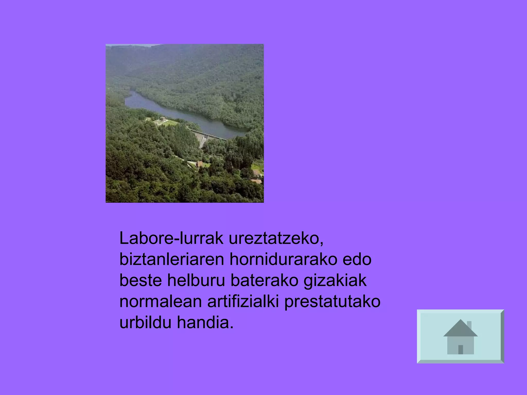Labore-lurrak ureztatzeko,
biztanleriaren hornidurarako edo
beste helburu baterako gizakiak
normalean artifizialki prestatutako
urbildu handia.

 