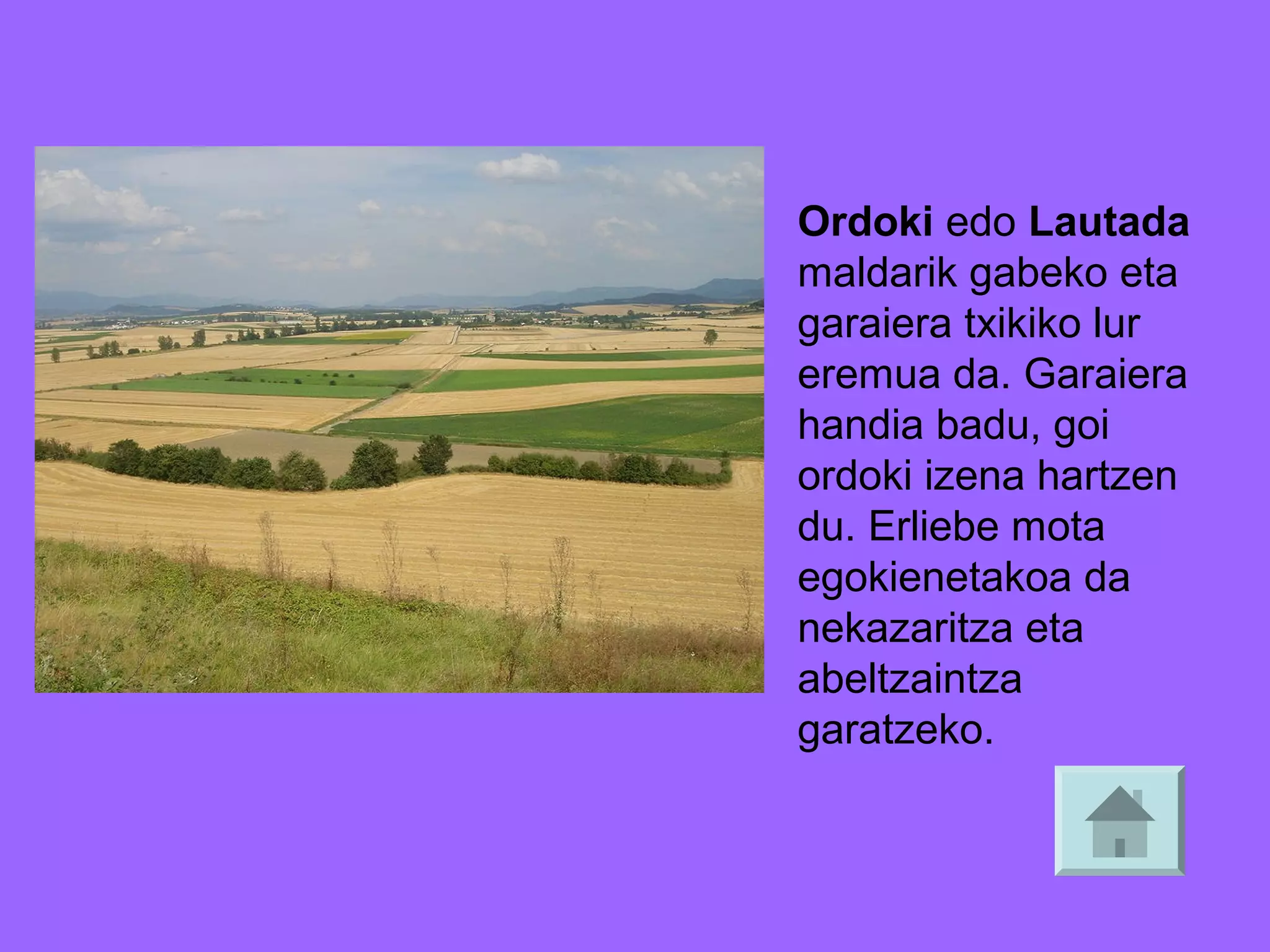 Ordoki edo Lautada
maldarik gabeko eta
garaiera txikiko lur
eremua da. Garaiera
handia badu, goi
ordoki izena hartzen
du. Erliebe mota
egokienetakoa da
nekazaritza eta
abeltzaintza
garatzeko.

 