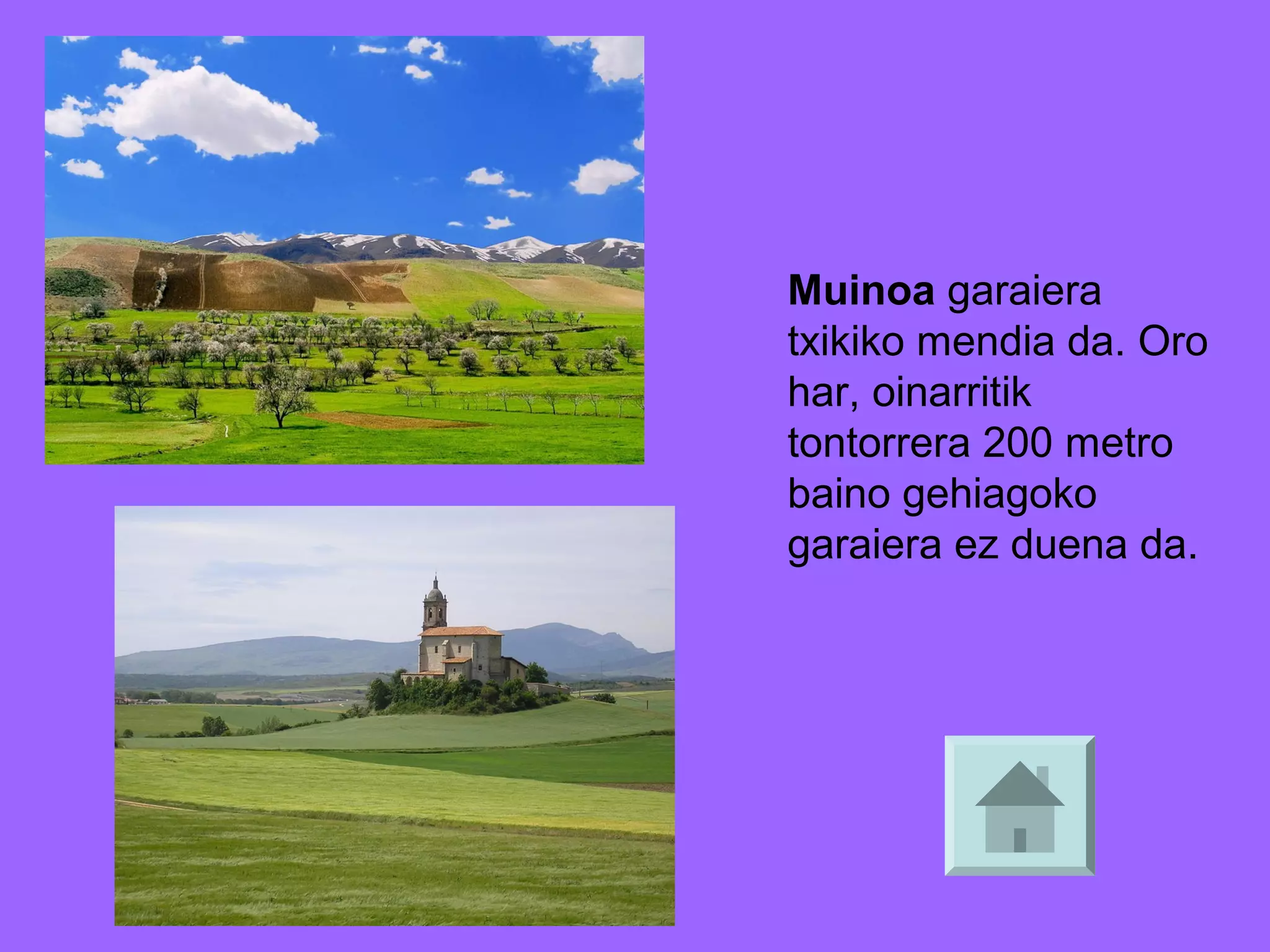 Muinoa garaiera
txikiko mendia da. Oro
har, oinarritik
tontorrera 200 metro
baino gehiagoko
garaiera ez duena da.

 