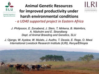 Animal Genetic Resources
for improved productivity under
harsh environmental conditions
- a UD40 supported project in Eastern Africa
J. Philipsson, E. Zonabend, J. Stein, T. Mirkena, B. Malmfors,
A. Näsholm and E. Strandberg
Dept. of Animal Breeding and Genetics, SLU
J. Ojango, W. Ayalew, W. Mulato, J. Audho, T. Dessie, E. Rege, O. Mwai
International Livestock Research Institute (ILRI), Kenya/Ethiopia
 