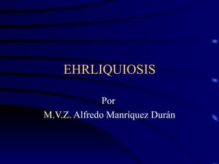 EHRLIQUIOSIS Por  M.V.Z. Alfredo Manríquez Durán 