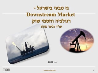 ‫גז טבעי בישראל -‬
‫‪Downstream Market‬‬
  ‫רגולציה וחסמי שוק‬
     ‫עו"ד גלעד מעוז‬




           ‫יוני 2102‬


      ‫‪www.erm-law.com‬‬   ‫1‬
 