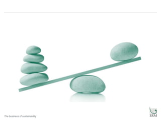 The business of sustainability
 