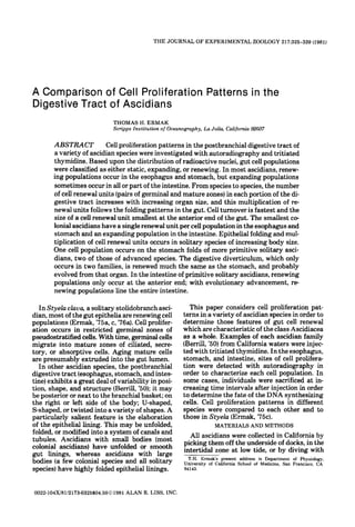 THE JOURNAL O F EXPERIMENTAL ZOOLOGY 217:325-339 (1981)




A Comparison of Cell Proliferation Patterns in the
Digestive Tract of Ascidians
                             THOMAS H. ERMAK
                             Scnpps Institution o f Oceanography, La Jolla, California 92037

       ABSTRACT           Cell proliferation patterns in the postbranchial digestive tract of
       a variety of ascidian species were investigated with autoradiography and tritiated
       thymidine. Based upon the distribution of radioactive nuclei, gut cell populations
       were classified as either static, expanding, or renewing. In most ascidians, renew.
       ing populations occur in the esophagus and stomach, but expanding populations
       sometimes occur in all or part of the intestine. From species to species, the number
       of cell renewal units (pairs of germinal and mature zones) in each portion of the di-
       gestive tract increases with increasing organ size, and this multiplication of re-
       newal units follows the folding patterns in the gut. Cell turnover is fastest and the
       size of a cell renewal unit smallest a t the anterior end of the gut. The smallest CD.
       lonial ascidians have a single renewal unit per cell population in the esophagus and
       stomach and an expanding population in the intestine. Epithelial folding and mul-
       tiplication of cell renewal units occurs in solitary species of increasing body size.
       One cell population occurs on the stomach folds of more primitive solitary asci-
       dians, two of those of advanced species, The digestive diverticulum, which only
       occurs in two families, is renewed much the same as the stomach, and probably
       evolved from that organ. In the intestine of primitive solitary ascidians, renewing
       populations only occur a t the anterior end; with evolutionary advancement, r e
       newing populations line the entire intestine.

   In S t y e h chva, a solitary stolidobranch asci-        This paper considers cell proliferation pat-
dim, most of the gut epithelia are renewing cell         terns in a variety of ascidian species in order to
populations (Ermak, '75a, c, '76a). Cell prolifer-       determine those features of gut cell renewal
ation occurs in restricted germinal zones of             which are characteristic of the class Ascidiacea
pseudostratified cells. With time, germinal cells        as a whole. Examples of each ascidian family
migrate into mature zones of ciliated, secre-            (Berrill, '50) from California waters were injec-
tory, or absorptive cells. Aging mature cells            ted with tritiated thymidine. In the esophagus,
are presumably extruded into the gut lumen.              stomach, and intestine, sites of cell prolifera-
   In other ascidian species, the postbranchial          tion were detected with autoradiography in
digestive tract (esophagus,stomach, and intes-           order to characterize each cell population. In
tine) exhibits a great deal of variability in posi-      some cases, individuals were sacrificed a t in-
tion, shape, and structure (Berrill, '50); it may        creasing time intervals after injection in order
be posterior or next to the branchial basket; on         to determine the fate of the DNA synthesizing
the right or left side of the body; U-shaped,            cells. Cell proliferation patterns in different
S-shaped, or twisted into a variety of shapes. A         species were compared to each other and to
particularly salient feature is the elaboration          those in S t y e h (Ermak, '75c).
of the epithelial lining. This may be unfolded,                        MATERIALS AND METHODS
folded, or modified into a system of canals and             All ascidians were collected in California by
tubules. Ascidians with small bodies (most                picking them off the underside of docks, in the
colonial ascidians) have unfolded or smooth               intertidal zone a t low tide, or by diving with
gut linings, whereas ascidians with large
                                                            T.H. Ermak's present address is Department of Physiology,
bodies (a few colonial species and all solitary           University of California School of Medicine, San Francisco. CA
species) have highly folded epithelial linings.           94143.




                               ALAN R. LISS. INC.
0022-104X/81/2173-0325$04.5001981
 