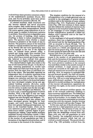 CELL PROLIFERATION IN ASCIDIAN GUT                                335
 evolved from these primitive ancestors where          The simplest condition for the renewal of a
 as the stolidobranch ascidians (Styela, Mol-       cell population is by a single germinal zone, as
 gula, and Pyura) probably arose from advan-        occurred in the esophagus of several colonial
 ced phlebobranch ancestors (Berrill, '36).         ascidians and in the intestine of many solitary
    In colonial ascidians, adult structures usu-    ascidians (Fig. 15A). Duplication of germinal
 ally become reduced and larval structures          zones (Fig. 15B) was common in these organs
 more complex; their zooids become fully func-      and also defined the method of renewal on the
 tional units soon after metamorphosis. Berrill     stigmata of the branchial basket (Ermak, '75c).
 ('36)warns against using elaboration of an in-     In the esophagus of more complex ascidians,
 ternal organ to explain evolutionary patterns      further multiplication produced a folded epi-
 in ascidians. Since structure is dependent upon    thelium with a germinal zone at the base of
 size, the process of budding, which induces        each fold (Fig. 15C).
 dwarfing, is likely to induce simplification of       In the esophagus of advanced stolidobranch
parts. The question arises whether a simple         ascidians, there was a duplication of the 'half
 structure is primitive or the result of size r e   cell renewal unit for the band population (Fig.
 duction. The primitive nature of the branchial     15D) as occurred in Styela (Ermak, '75c). In
basket in colonial ascidians has been question-     Molgula and Pyura, a pair of germinal and ma-
ed by Berrill ('36) and such questioning may        ture zones or a 'whole' cell renewal unit occu-
also be applied to the rest of the digestive        pied the entire groove (Fig. 15E).Both germin-
tract. In colonial forms present today, a           al zones produced band cells from one side and
smooth gut lining might have resulted from          mucous cells from the other side.
the loss of epithelial folds. For example, Pero-       Multiplication of cell renewal units, an in-
phora, which has a smooth gut lining, is gener-     crease in the number of cell populations per
ally believed to have evolved from groups           fold, and the formation of the digestive diverti-
which today have highly folded gut epithelia.       culum have all been part of stomach evolution.
   The colonial habitat might also result in the    The most primitive condition in the stomach
loss of cell renewal from the gut. In the Botryl-   was most likely similar to the smooth stomach of
lidae, renewing populations on styelid type         colonial ascidians. A single mucous cell re-
folds might have been lost from the gut in con-     newal unit occurred on the raphe and a single
nection with the short lives of individual zoo-     chief cell renewal unit occurred on the stomach
ids in the colony. The botryllids represent an      wall (Fig. 16A). In response to epithelial fold-
independent line of evolution stemming from         ing and stomach growth, the chief cell popula-
rather advanced styelid stock. They have un-        tion first underwent multiplication of renewal
dergone size reduction and have lost complex        units (Fig. 16B) as in some aplousobranch and
structures such as folds in the branchial basket    most phlebobranch ascidians. This was later
but have developed complex larvae and spe-          followed in styelid ascidians by multiplication
cialized budding patterns. Botryllus zooids         of the mucous cell population, apparently de-
live only about a week before they are absorbed     rived from the raphe, on the crests of each fold
into the colony to make room for the next gen-      (Fig. 16C).
eration of zooids (Burighel and Milanesi, '73).        In the most advanced ascidian species, the
In such a case, a renewing population would be      folds of the stomach underwent infolding to
obsolete. With a life span of only one week,        form numerous epithelial sacs. The folded part
none of the cells in the digestive tract need be    of the stomach wall formed a new organ, the di-
replaced (see also Burighel and Milanesi, '77).     gestive diverticulum. In its simpler form (Fig.
   With an increase in body size, solitary asci-    16D),the diverticulum maintained an intimate
dians developed greater demands for food,           connection with the stomach, thereby forming
oxygen, and waste removal. These animals,           part of the stomach wall (see also Fouque, ' 9 .
                                                                                                  5)
thus, have greater feeding and respiratory sur-        In this case, each sac of the diverticulum was
faces in the branchial basket, which can be         lined only by a chief population and not a mu-
very elaborate in advanced species. Likewise,       cous population. The presence of only one cell
these forms exhibit a greater degree of post-       population in this type of diverticulum sug-
branchial gut folding. Large bodied ascidians       gests that the Molgulidae evolved from asci-
exhibited several evolutionary trends: 1) Mul-      dians with only one cell population on each
tiplication of cell renewal units; 2) an increase   fold. Possibly, the molgulids evolved from a
in the number of cell populations per fold 3)       stolidobranch ancestor which had not yet
formation of the digestive diverticulum; and 4)     evolved a styelid stomach. The pyurid diverti-
an increase in the renewal of the intestine.        culum (Fig. l6E) probably evolved from the
 