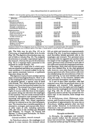 CELL PROLIFERATION IN ASCIDIAN GUT                                                              327

 TABLE 1. List of ascidian species used in this investigation giving the foldingpattern and distribution of renewing (R)
                 and expanding (E) cell populations in each region of the postbranchial digestive tract
   SPECIES                                      ESO                           STOM                         m  r
Aplousobranchia
  Polyclinum planum (c)                            smooth (R)                         smooth (R)                         smooth (El
  Archidistoma ritteri (c)                         smooth (R)                         smooth (R)                         smooth (E)
  Didemnum carnulentum (c)                         smooth (R)                         smooth (R)                         smooth (El
  Distaplia occidentalis (c)                       smooth (R)                         corrugated (R)                     smooth (E)
  Euherdmania claviformis (c)                      smooth (R)                         folded (R)                         smooth (E)
Phlebobranchiata
  Perophora annectens (c)                          smooth (R)                         smooth (R)                         smooth (E)
  Ciona intestinalis (s)                           folded (RI                         folded (R)                         folded (R-E)
  Chelyosoma productum (s)                         smooth (R)                         pitted (R)                         smooth (R-E)
  Ascidia ceratodes (s)                            smooth (R)                         folded (R)                         smooth (R-E)
Stolidobranchiata
  Styela clava (s)                                 folded (R)                         folded (R)                         folded (R)
  Botrylloides diegense (c)                        smooth (ST?)                       folded (ST?)                       smooth (ST?)
  Molgula verrucifera (s)                          folded (R)                         diverticulum (R)                   smooth (R-E)
  Pyuia haustor (s)                                folded (R)                         diverticulum (R)                   smooth (R)
Names from Ahbott ('75). For comparison, Styela clava (from Ermak. '75c) is included in its appropriate place. 'R-E'indicates that renewing and
expanding populations occur in different regions of that organ. c, colonial species; s. solitary species; ST,static population.

side. The folds may be pits (Fig. 1C) as in                               250 pm wide) and intestine are approximately
Chelysoma, or longitudinal folds, as in Ascidia                           circular (Fig. 2A). A one-hour exposure to triti-
(Fig. 1D).The digestive diverticulum may con-                             ated thymidine labeled germinal cells in the
sist of folds or tubules (Fig. 1E). The molgulid                          esophagus and stomach. Two germinal zones
diverticulum is actually a specialized region of                          of mucous cells run opposite one another along
the stomach, whereas the pyurid diverticulum                              the length of the esophagus (Fig. 3);in the sto-
(Fig. 1E) is a separate organ connected to the                            mach, germinal zones occurred on each side of
stomach by canals (Fouque, '59).                                          the raphe and around the esophageal and intes-
  The intestine is a long tube in which nutri-                            tinal openings. Both chief and mucous popula-
ents are absorbed and faeces are compacted. In                            tions were labeled (Fig. 4); the chief germinal
most ascidians, it is smooth walled in the lar-                           cells, however, were more heavily labeled than
gest species examined, however, a typhlosole                              mucous germinal cells. Some mature cells were
may pass along one side.                                                  also labeled along the circumference of the sto-
  The digestive tracts of most ascidian species                           mach wall (Fig. 51, but most labeled cells were
share several histological features. Most or all                          along the raphe. In the intestine, labeled cells
of the esophageal wall is lined by mucous cells;                          were scattered throughout the epithelium.
in advanced species, a narrow strip of band                                 At 5 and 10 days after injection, cells had
cells (Ermak, '75c),whose function is as yet un-                          migrated away from the germinal zones in the
known, runs from the branchial basket into the                            esophagus and stomach. Cells appeared to
esophagus. The stomach has a basic pattern re-                            migrate away from the raphe and centrifugally
gardless of the degree of folding. A narrow                               away from the esophageal and intestinal open-
raphe of mucous cells like those in the esopha-                           ings (Fig. 2B). By 10 days, chief cells had
gus passes along one side from the esophagus                              migrated a third to all the way around the sto-
to the intestine. The rest of the stomach wall is                         mach wall. In the intestine, little change was
covered by absorptive and zymogen (enzyme                                 observed.
secreting) cells (germinal regions contain un-                               In Archidistoma ritteri, Didemnum camu-
differentiated cells). This mixed population                              lentum, and Perophora annectens, other colon-
will here be referred to as the chief cell popula-                        ial ascidians of approximately the same size as
tion. The intestine has a variable population of                          Polyclinum, labeling patterns after one hour
absorptive, zymogen, and mucous cells. Sever-                             were similar. However, in Archidistoma and
al other types of cells, including endocrine                              Didemnum, only one germinal zone was obser-
cells, also occur in the ascidian gut (Burighel                           ved in the esophagus.
and Milanesi, '75; Fritsch, '76; Fritsch and
Sprang, '77; Brevis and Thorndyke, '78; Thorn-                                          Distaplia occidentalis
dyke and Brevis, '78).                                                      In Distaplia, the esophagus and stomach
     Colonial ascidians, smooth stomach                                   were smooth walled, but the stomach some-
   In Polyclinum planum, the esophagus is el-                             times had several low, longitudinal ridges on
liptical in cross section; the stomach (about                             its internal surface giving the lining a corruga-
 