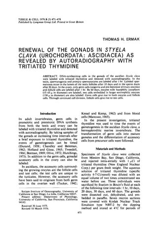 TISSUE & CELL 1976 8 (3) 471-478
Published by Longman Group Ltd. Printed in Great Britain




                                                                               THOMAS           H. ERMAK


RENEWAL   OF THE GONADS      IN STYELA
CLAVA (UROCHORDATA:      ASCIDIACEA)     AS
REVEALED   BY AUTORADIOGRAPHY        WITH
TRITIATED  THYMIDINE
                      ABSTRACT.        DNA-synthesizing     cells in the gonads of the ascidian Sty&         claua
                      were labeled with tritiated thymidine       and detected with autoradiography.       In the
                      testis, spermatogonia    and primary spermatocytes    are labeled after 1 hr. Labeled sper-
                      matozoa occur in the lumen of the testis follicles after 10 days and in the suerm ducts
                      after 20 days. In the ovary, only germ cells (oogonia and pre-ieptotene primary oocytes)
                      and follicle cells are labeled after 1 hr. By 60 days, oocytes with basophilic cytoplasm
                      (15-65 p in diameter) are labeled; test cells embedded in larger eosinophilic oocytes
                      (150 p in diameter) are also labeled. Germ cells give rise to both oocytes and follicle
                      cells. Through continued cell division, follicle cells give rise to test cells.




                   Introduction                           Kessel and Kemp, 1962) and from blood
                                                          cells (Mancuso, 1965).
IN adult      invertebrates,  germ cells in                  In the present investigation,      tritiated
premeiotic and premitotic DNA synthesis                   thymidine was used to time the events of
from both the testis and ovary can be                     gametogenesis in the ascidian Styela clava, a
labeled with tritiated thymidine and detected             hermaphroditic    marine invertebrate.      The
with autoradiography. By taking samples of                transformation   of germ cells into mature
the gonads at increasing time intervals after             gametes and the differentiation of accessory
a brief exposure to tritiated thymidine, the              cells from precursor cells were followed.
events of gametogenesis        can be timed
(Durand,     1958 ; Chandley and Bateman,
1962; Holland and Giese, 1965; Tweedell,                                Materials and Methods
1966; Beeman, 1969; Olive, 1972; Hutchings,               Specimens of Styefa claw were collected
1973). In addition to the germ cells, gonadal             from Mission Bay, San Diego, California,
accessory cells in the ovary can also be                  and injected intra-atrially    with 1 &i of
labeled.                                                  tritiated thymidine (New England Nuclear
   In ascidians, the accessory cells surround-            Corp.) per gram fresh weight. The aqueous
ing the growing oocytes are the follicle cells            solution of tritiated thymidine        (specific
and test cells; the test cells are unique to              activity 6.7 Ci/mmol) was diluted with an
the tunicates. However, the accessory cells               equal volume of two times concentrated sea
have been said to originate from both germ                water before use. Three individuals were
cells in the ovarian wall (Tucker, 1942;                  sacrificed by fixation in Bouin’s fluid at each
                                                          of the following time intervals: 1 hr, 10 days,
  Scripps Institute of Oceanography,     University of    20 days, 30 days, and 60 days. The gonads
California at San Diego, La Jolla, California 92037.      were dissected out, dehydrated, and em-
  Present   address:    Department   of Physiology,
University of California, San Francisco, California
                                                          bedded in paraffin. Seven micron sections
94143.                                                    were covered with Kodak Nuclear Track
  Received 30 June 1975.                                  Emulsion     type NBT-2 by the dipping
  Revised 10 March 1976.                                  method and stored at 4°C for periods of
 