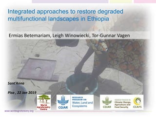 Integrated approaches to restore degraded
multifunctional landscapes in Ethiopia
Ermias Betemariam, Leigh Winowiecki, Tor-Gunnar Vagen
Sant’Anna
Pisa , 22 Jan 2019
 