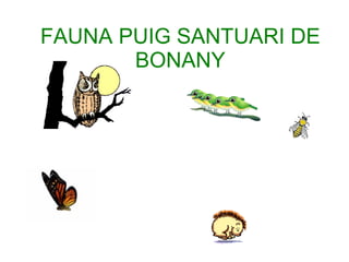FAUNA PUIG SANTUARI DE BONANY 