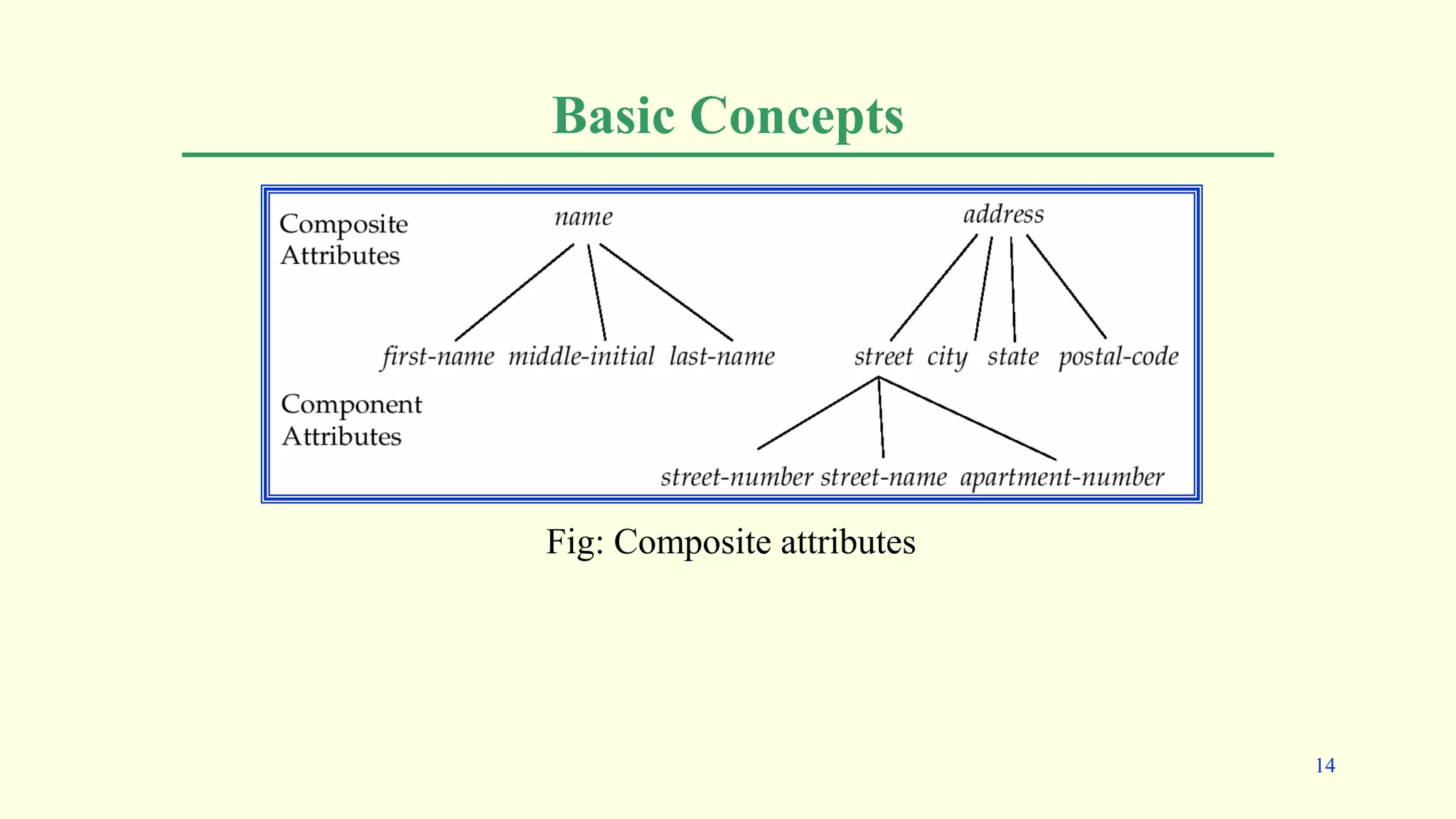 Basic Concepts
Fig: Composite attributes
14
 