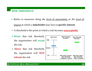 ERM overview | PDF