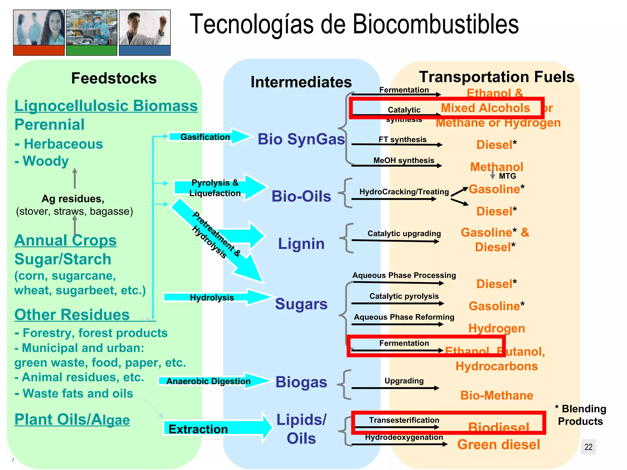 Tecnologías de Biocombustibles Feedstocks Lignocellulosic Biomass Perennial -  Herbaceous - Woody Annual Crops Sugar/Starch  (corn, sugarcane,  wheat, sugarbeet, etc.) Other Residues  -  Forestry, forest products - Municipal and urban: green waste, food, paper, etc. - Animal residues, etc. -  Waste fats and oils Plant Oils/A lgae Transportation Fuels Ethanol &  Mixed Alcohols  or   Methane or Hydrogen Diesel * Methanol Gasoline * Diesel * Gasoline *  &  Diesel *   Diesel * Gasoline * Hydrogen Ethanol, Butanol,  Hydrocarbons Bio-Methane  Biodiesel  Green diesel Catalytic synthesis FT synthesis MeOH synthesis HydroCracking/Treating Aqueous Phase Processing Catalytic pyrolysis Aqueous Phase Reforming Fermentation Catalytic upgrading MTG Ag residues,   (stover, straws, bagasse) Intermediates Bio SynGas Bio-Oils Lignin Sugars Biogas Lipids/ Oils Gasification Pyrolysis & Liquefaction Hydrolysis Pretreatment & Hydrolysis * Blending Products Anaerobic Digestion Upgrading Transesterification Hydrodeoxygenation Extraction Fermentation 